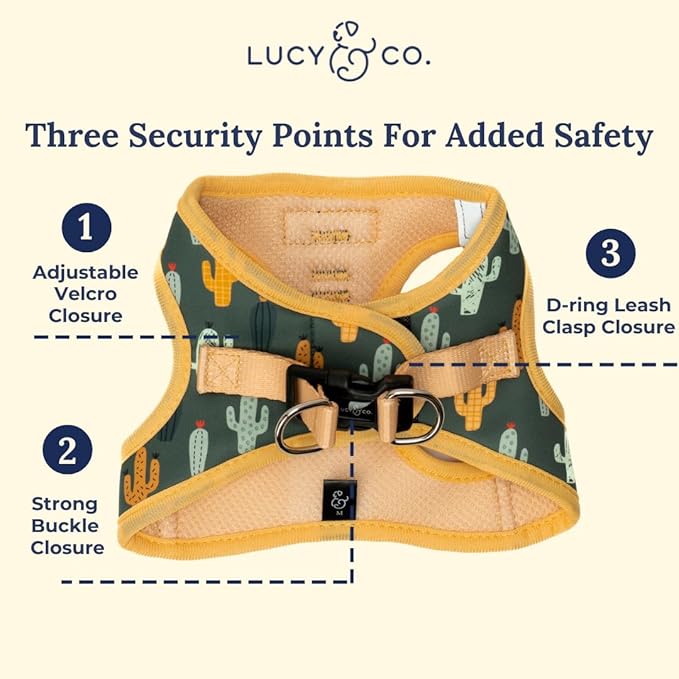 Lucy & Co. Looking Sharp Step-in Cat Harness & Leash Bundle – Reflective, Breathable & Adjustable Harness for Cats, Kittens & Small Dogs, Lightweight & Secure and Dual Leash Clips – Medium