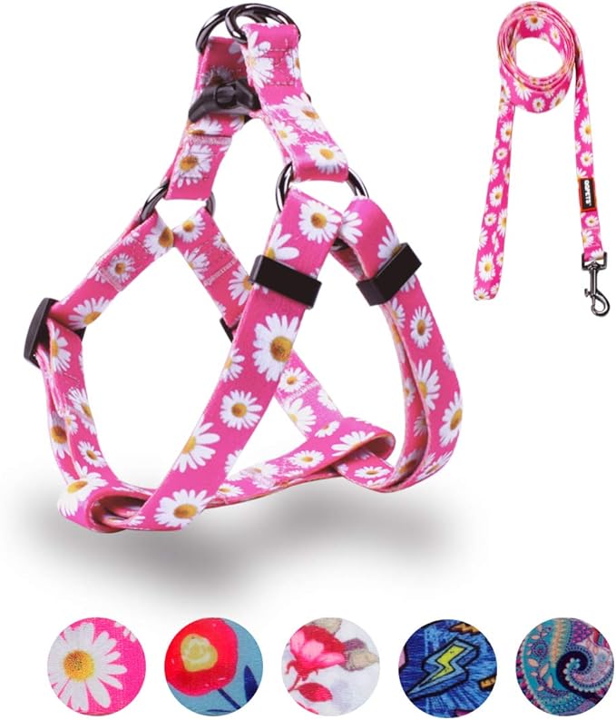 QQPETS Dog Harness Leash Set Adjustable Heavy Duty No Pull Halter Harnesses for Small Medium Large Breed Dogs Back Clip Anti-Twist Perfect for Walking (S(14"-20" Chest Girth), Daisy)