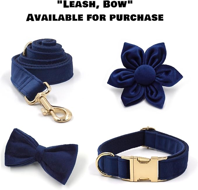 Velvet Personalized Dog Collar with Name - Customizable Dog Collar with Quick Release Metal Buckle - Leash and Bow Tie Available (Midnight Blue, L)