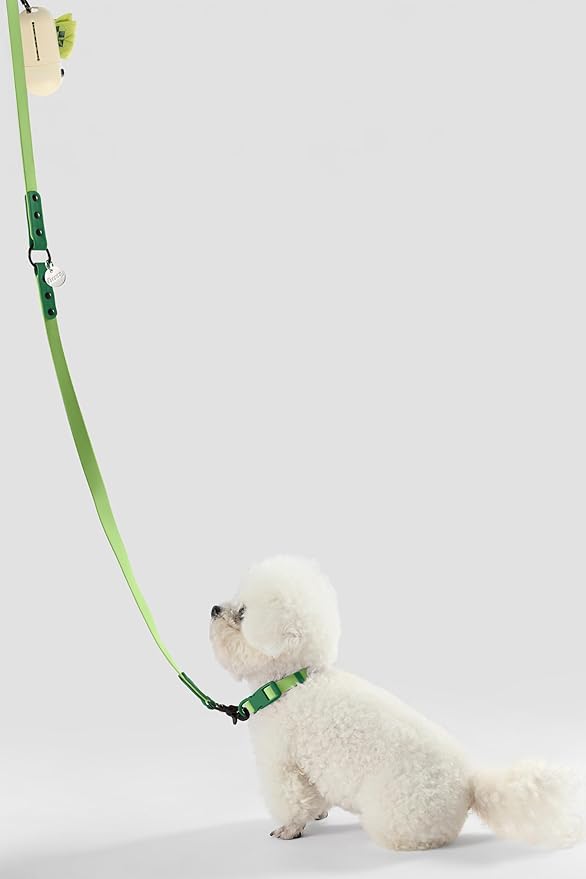 WLK1004B-5SET Luna Small 8FT Adjustable 6-in-1 Waterproof Hands-Free Leash and Collar with LED Flashlight, Bag Dispenser, and Poop Bag Holder, Mojito