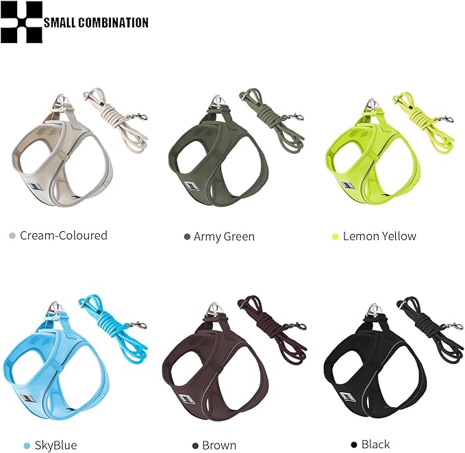 Adjustable Dog Harness with Leash, Reflective Mesh, No-Pull Design，Matching Lead Rope (SkyBlue, XS)