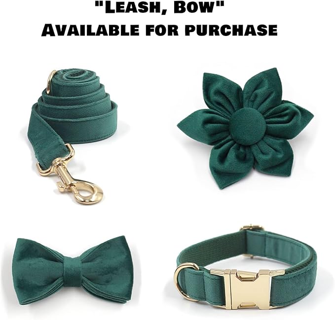 Velvet Personalized Dog Collar with Name - Customizable Dog Collar with Quick Release Metal Buckle - Leash and Bow Tie Available (Dark Cyan, L)