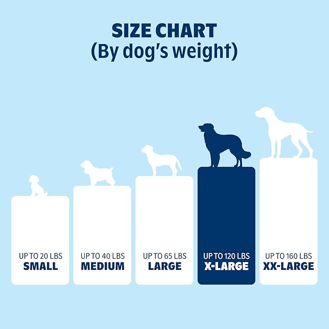 Barkbox Orthopedic Dog Bed with Memory Foam, Premium Comfort for Dogs and Puppies, Dog Bed for Joint Relief and Restful Sleep, Durable and Easy to Clean - Grey, XL