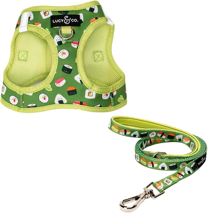 Lucy & Co. How I Roll Step-in Cat Harness & Leash Bundle – Reflective, Breathable & Adjustable Harness for Cats, Kittens & Small Dogs, Lightweight & Secure and Dual Leash Clips – Small