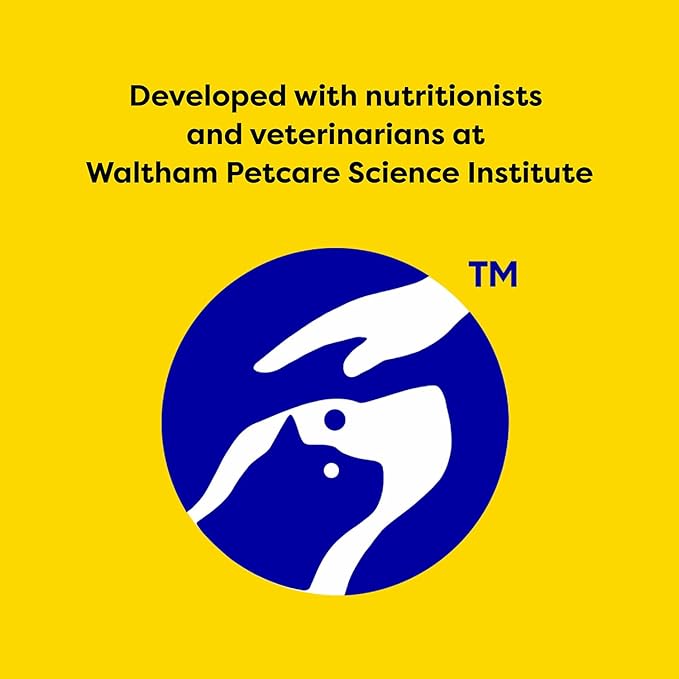 Temptations Kitten Crunchy and Soft Treats Chicken and Dairy and Salmon and Dairy Variety Pack, 6.3 oz. Pouches (Pack of 4)