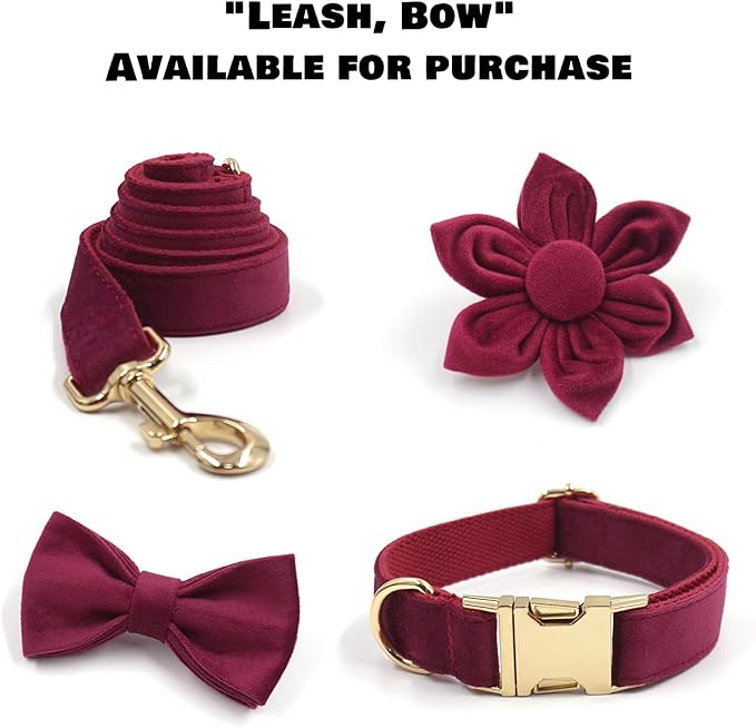 Velvet Personalized Dog Collar with Name - Customizable Dog Collar with Quick Release Metal Buckle - Leash and Bow Tie Available (Wine, XS)
