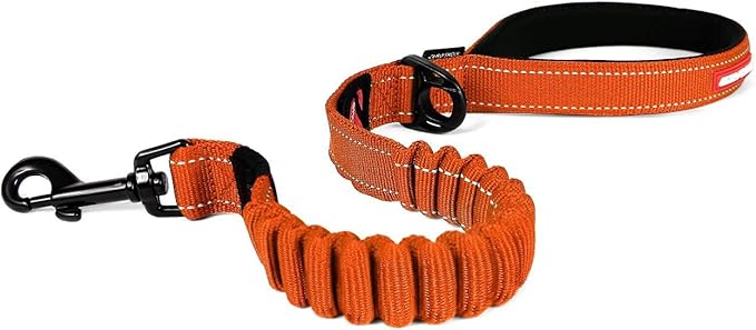 EzyDog Zero Shock Dog Leash - Shock Absorbing Bungee Leash for Dogs That Pull or Excite - Dual Handle and Reflective for Large, Medium, or Small Dogs (25-inch, Orange)