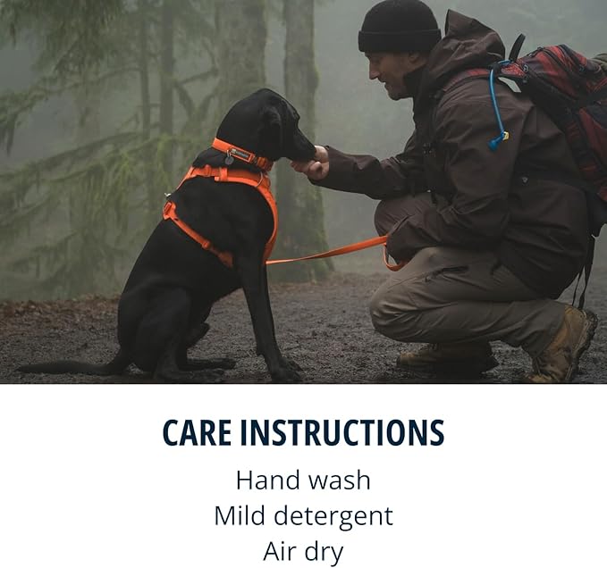 Ruffwear, Front Range Dog Harness, Reflective Soft Padded Everyday Harness with Dual Leash Clips, Adjustable and Lightweight Fit for Training or Walking for All Dogs, Blaze Orange, X-Small