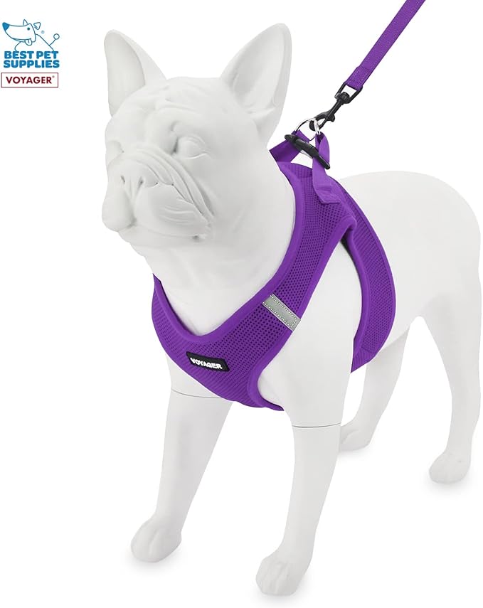 Voyager Step-in Air All Weather Mesh Harness and Reflective Dog 5 ft Leash Combo with Neoprene Handle, for Small, Medium and Large Breed Puppies and Cats by Best Pet Supplies - Purple, XXXS
