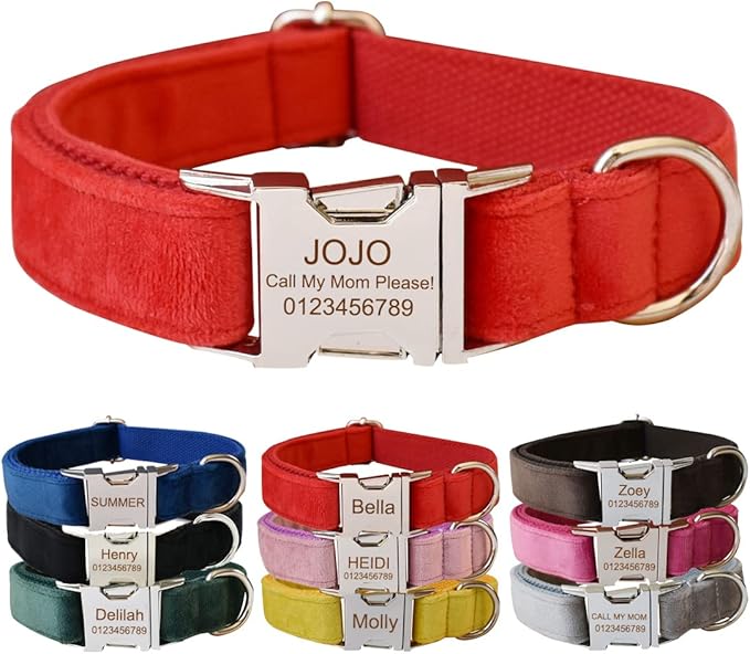 Custom Dog Collar with Metal Buckle - Pet Collars Personalized with Name and Phone Number (Velvet Style2)