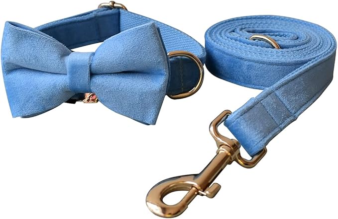 Dog Collar Custom Personalized Engraved Name and Phone Number for Puppy Small Medium Large Pets (M, Sky Blue)