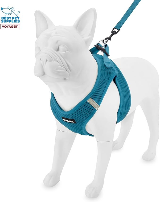 Voyager Step-in Air All Weather Mesh Harness and Reflective Dog 5 ft Leash Combo with Neoprene Handle, for Small, Medium and Large Breed Puppies by Best Pet Supplies - Leash Harness (Turquoise), XS