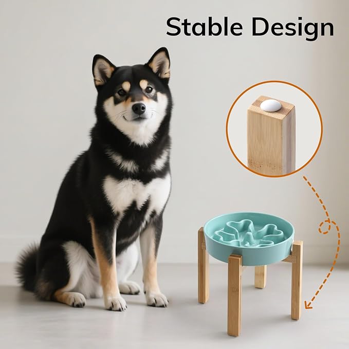 Slow Feeder,Ceramic-Slow Feeder Dog Bowls Elevated for Medium and Large Breed,2.5 Cups Slow Feed Dog Bowl with Stand,Turquoise