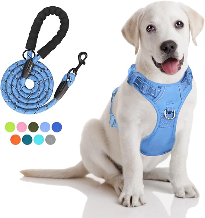 PoyPet No Pull Dog Harness and 5 Feet Leash Set, Release on Neck Reflective Adjustable Pet Vest, Front & Back 2 D-Ring and Soft Padded Pet Harness with Handle for Small to Large Dogs(Light Blue,S)