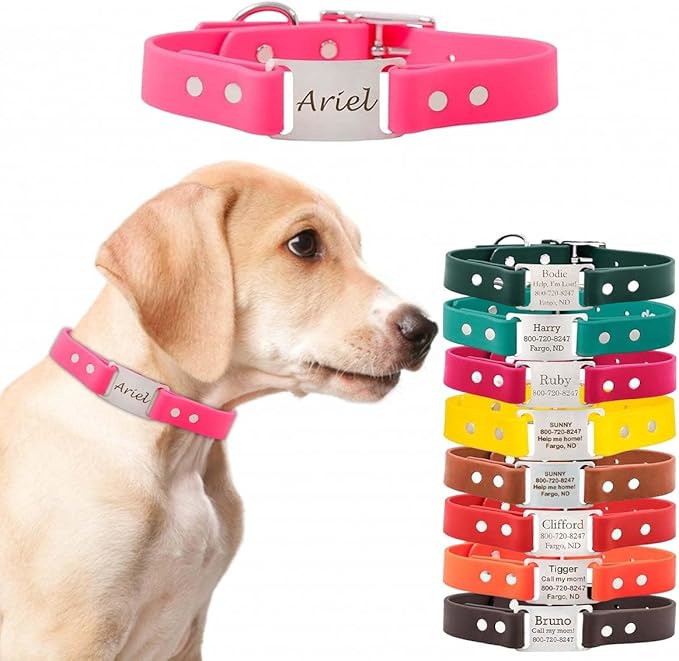 dogIDs Personalized Dog Collar – ScruffTag Custom Waterproof Biothane Dog Collar with Laser-Engraved Name, Durable & Odor-Resistant – USA Made | Pink, 3/4 in x 16 in (Fits Neck Sizes 14-18 in)