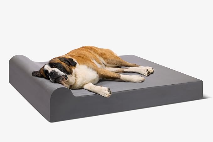 Barker Beds Giant Orthopedic Dog Bed - 7" Pillow Top with Headrest - 100-300 lbs - Memory Foam for Joint Pain & Arthritis - Vet Recommended, Washable - Made in USA - 60"x48"x7" - Charcoal