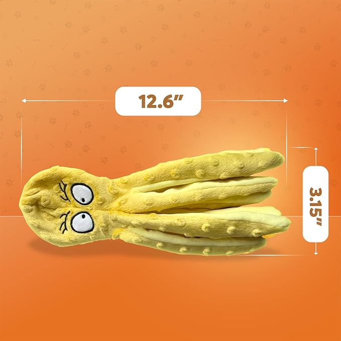 Squeaky Dog Toys – No-Stuffing Crinkle Plush, Durable Puppy Teething & Interactive Play, 2-Pack