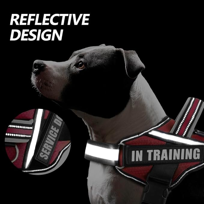 Dog Vest Harness and Patches Set, Animire in Training Service Dog Harness with 10 Dog Patches, Reflective Dog Vest with Handle for Small, Medium, Large, and Extra-Large Dogs