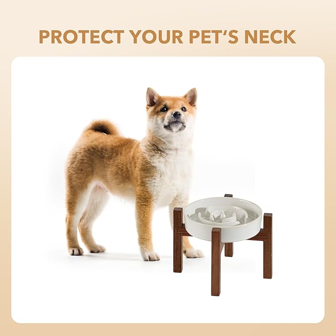 Ceramic 1.2 Cup Raised Slow Feeder Dog Bowl Set, Elevated Acacia Wood Stand for Medium and Small Dog, 7.3inch Slow Dish, Stop Bloat(Single Bowl+ Stand, Reactived Glaze -White)