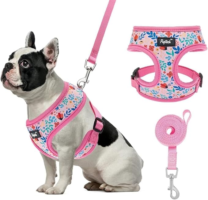 PUPTECK Soft Mesh Dog Harness and Leash Set Pet Puppy Cat Comfort Padded Vest No Pull Harnesses, Pink Floral, S