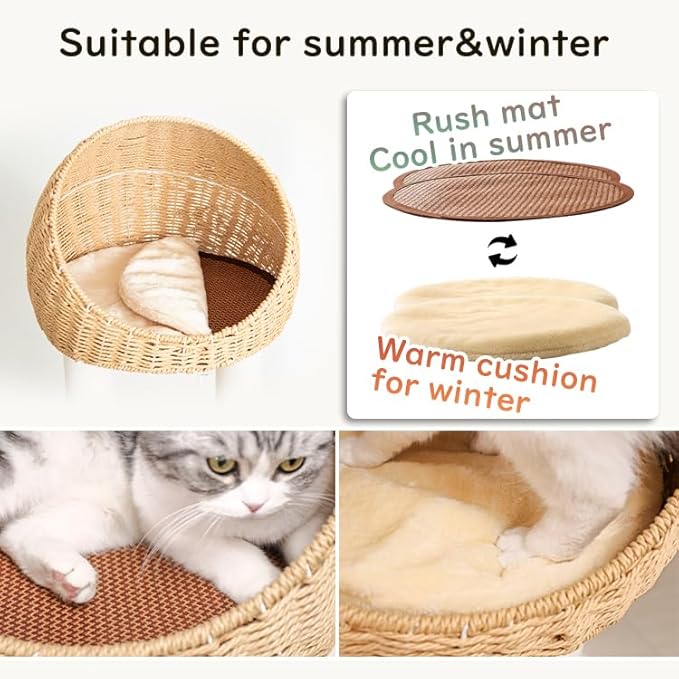 Wood Cat Tree for Large Cat, 60-Inch Tall Cat Tower with Scratching Post for Indoor Cats, Multi-Level Cat Condo with Hand-Woven Cat Bed and Acrylic Bowl Easy to Clean (Brown-81004S)