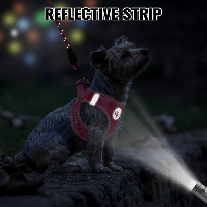 BEAUTYZOO Small Dog Harness and Leash Set, Step in No Choke No Pull Soft Mesh Dog Harnesses Reflective for Small Medium Puppy Dogs and Cats, Plaid Dog Vest Harness for S M Pets, Light Pink XS