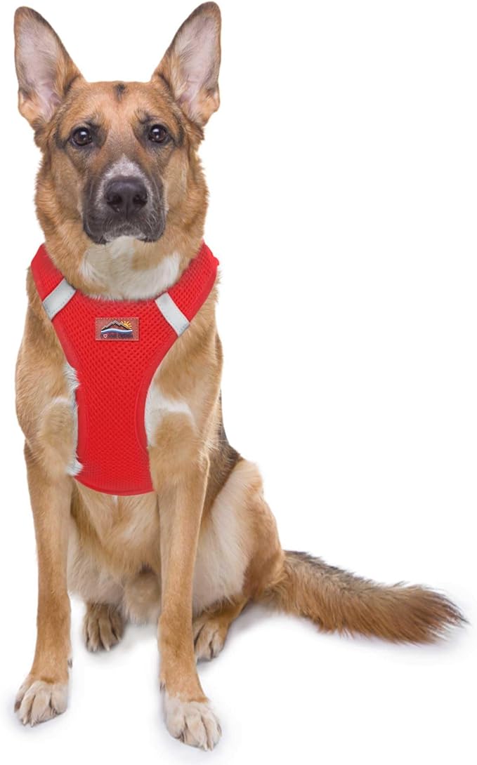 Doggie Design Dog Harness - No Choke Dog Harness, Dog Vest, Mesh Polyester, Pet Harness, Simple Step in and Go Design, Harness for Dog - Red, 3X-Large