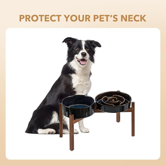 Ceramic 1.6 Cup Raised Slow Feeder Dog Bowl Set, Elevated 7.3inch Bowl and 8.2inch Dish with Acacia Wood Stand for Medium and Large Dog(2 x Starry Sky+ Stand)