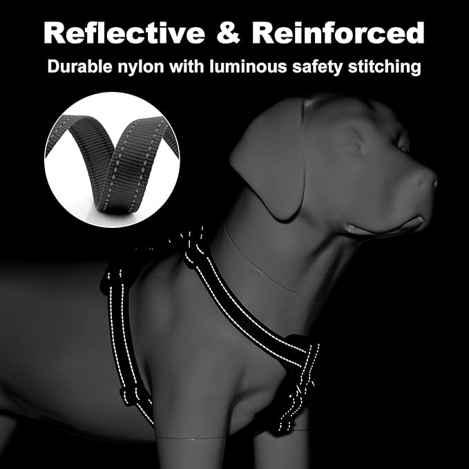 Plutus Pet Adjustable No Pull Dog Harness with Leather Accents, Heavy Duty Reflective Nylon Vest for Training, Hiking, Easy Walk Harness for Small, Medium, Large Dogs (Black, S)