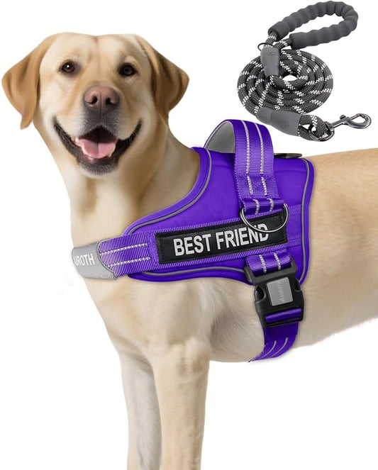 AUROTH Dog Harness and Leash Set, Soft Padded Service Dog Vest with 5.25FT Dog Leash, No Choke, Easy On Pet Vest, Adjustable Reflective No Pull Dog Harness for Large Dogs, Easy Walking and Training