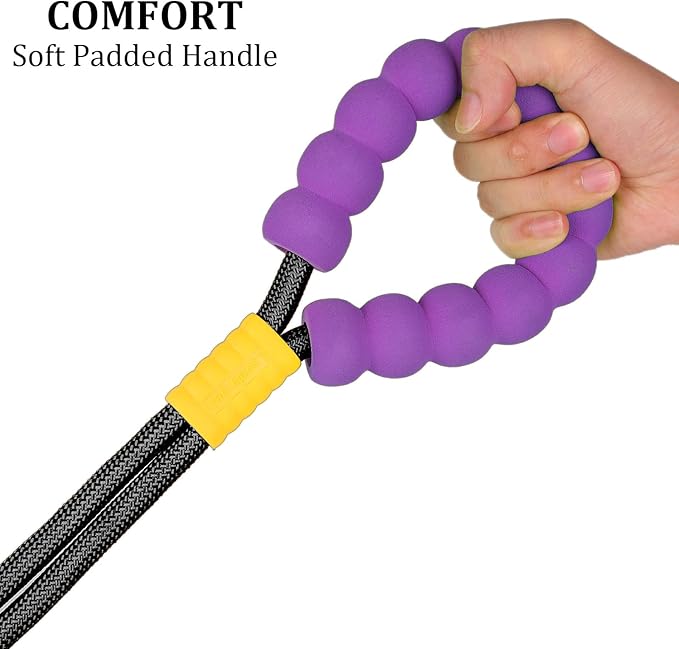 JSXD Dog Leash,5 FT Heavy Duty Dog Training Leash,Double Handle Comfortable Padded Hands Free Dog Leash,Adjustable Crossbody Waist Leash for Small Medium Large Dogs(Black)