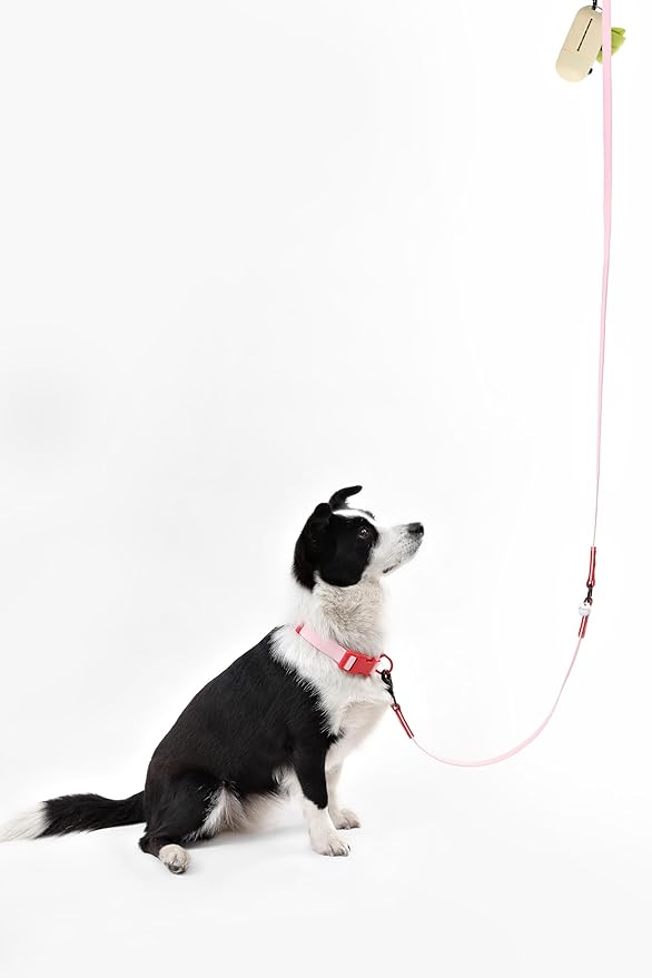 WLK1006G-5SET Luna Large 8FT Adjustable 6-in-1 Waterproof Hands-Free Leash and Collar with LED Flashlight, Bag Dispenser, and Poop Bag Holder, Paloma