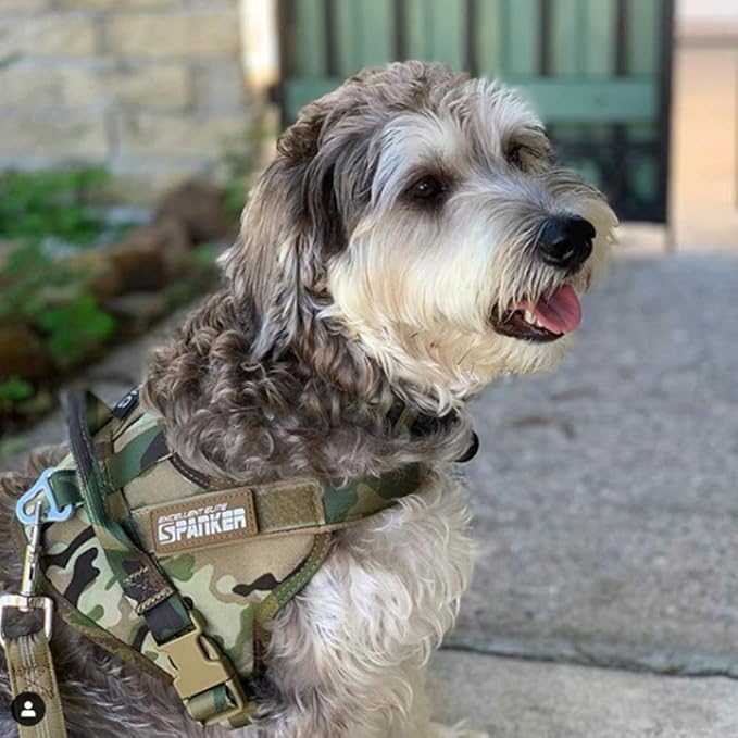 EXCELLENT ELITE SPANKER Tactical Dog Harness Military Patrol Harness No-Pull Service Dog Vest Military Dog Vest Adjustable Training Working Dog Vest with Handle for Medium Large Dogs(MCP-L)