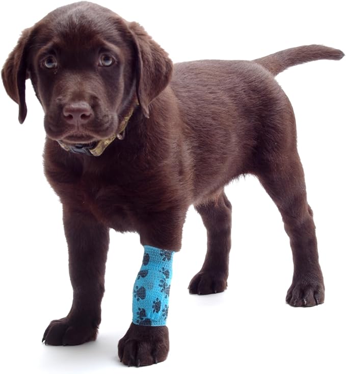 Pet First Aid Emergency Kit for Dogs and Puppies – 45 Piece Compact Travel Kit. Be Ready for Any Pet Emergency!