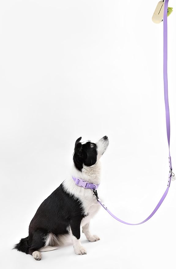 WLK1006H-5SET Luna Large 8FT Adjustable 6-in-1 Waterproof Hands-Free Leash and Collar with LED Flashlight, Bag Dispenser, and Poop Bag Holder, Bramble