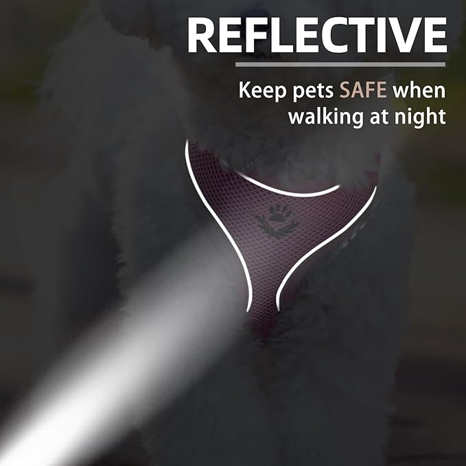 PUPTECK Soft Mesh Dog Harness and Leash Set Pet Puppy Cat Comfort Padded Vest No Pull Harnesses