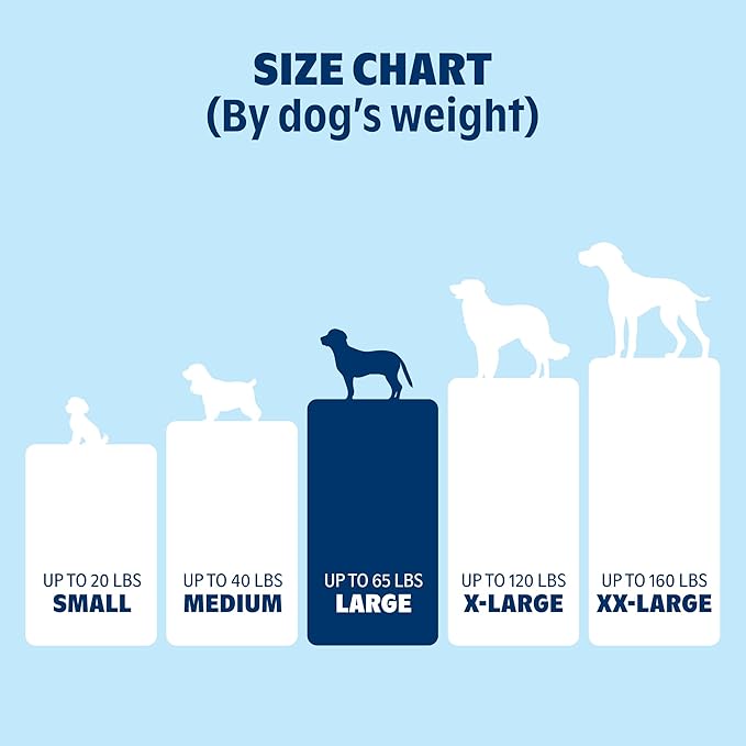 Barkbox Orthopedic Dog Bed with Memory Foam, Premium Comfort for Dogs and Puppies, Large Sized Dog Bed for Joint Relief and Restful Sleep, Durable and Easy to Clean - Grey, Large