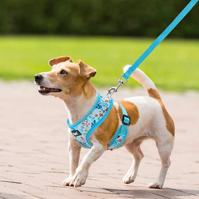 PUPTECK Soft Mesh Dog Harness and Leash Set Pet Puppy Cat Comfort Padded Vest No Pull Harnesses, Blue Floral, S