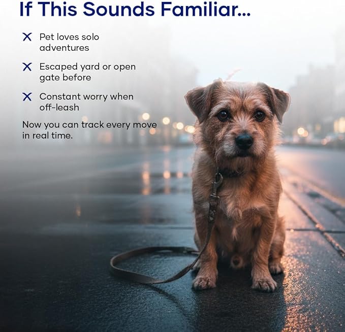 Smart Pet Locator – GPS Tracker for Dogs & Cats | Real-Time Tracking, Waterproof & Lightweight | Long Battery Life & App Control