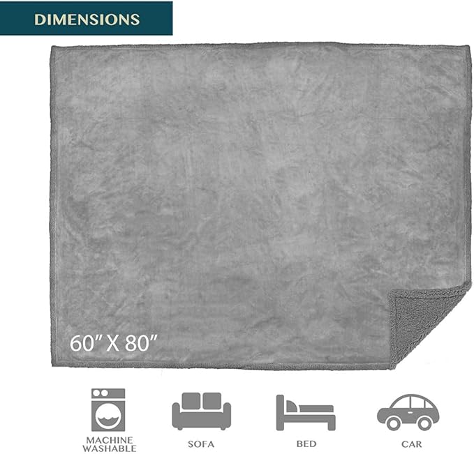 PAVILIA Waterproof Blanket for Couch, Sofa | Waterproof Dog Blanket for Large Dog, Puppy, Cat | Pet Blanket Protector | Plush Soft Warm Fuzzy Sherpa Blanket Bed Throw, Light Grey, 60x80