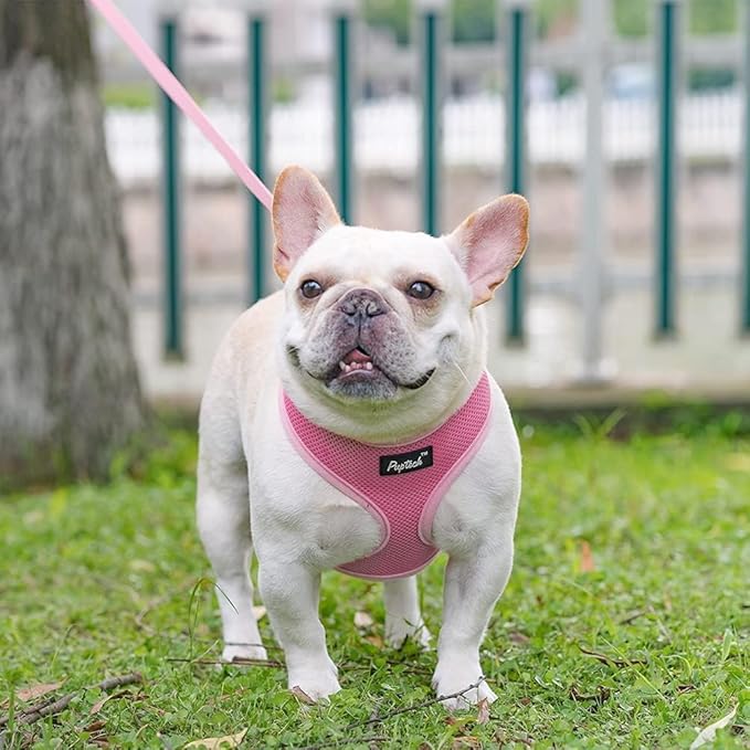 PUPTECK Soft Mesh Dog Harness and Leash Set Pet Puppy Cat Comfort Padded Vest No Pull Harnesses, Solid Pink, XS