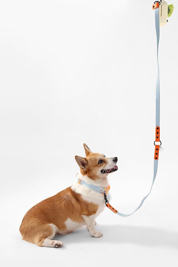 WLK1005D-5SET Luna Medium 8FT Adjustable 6-in-1 Waterproof Hands-Free Leash and Collar with LED Flashlight, Bag Dispenser, and Poop Bag Holder, Fishbowl