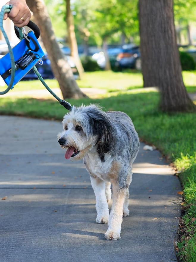 Poop Bag Holders for Leashes with Dog Poop Bags Rolls Biodegradable - Puppy Essentials & Litter Supplies - Durable Dispenser & Leak-Proof Pet Bags, Walking Parks Doggy Accessories Boy Girl Husky Mist