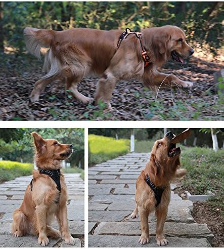 Truelove No Pull Dog Harness with Easy Control Handle and 2 Leash Attachments ,Reflective Adjustable Pet Vest