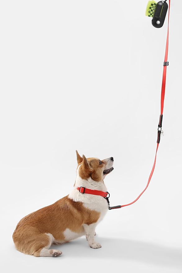 WLK1005M-5SET Luna Medium 8FT Adjustable 6-in-1 Waterproof Hands-Free Leash and Collar with LED Flashlight, Bag Dispenser, and Poop Bag Holder, Shirley