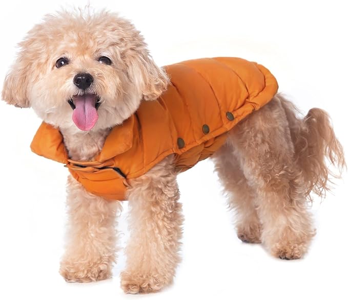 SPACE LION Dog Puffer Jacket, Down Winter Coat, Durable Outdoor Coat for Cold and Windy Conditions, Lightweight & Adjustable Fit Coats for Small Dogs, (Orange, Size 10 Gift Box)
