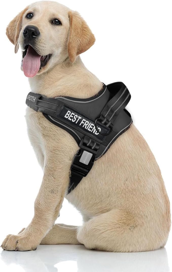 AUROTH Dog Harness No Pull Soft Padded Service Dog Vest, No Choke, Easy On Pet Vest with Handle, Adjustable Reflective Dog Harness for Small, Medium and Large Dogs, Easy Walking and Training
