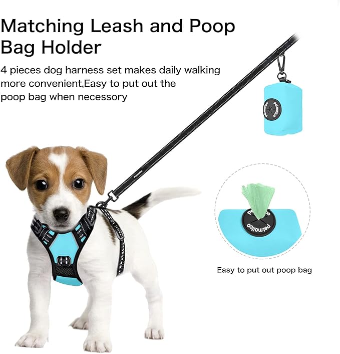 Petmolico No Pull Dog Harness Set with Leash Attachment Easy Control Handle Reflective Harness Vest Small Breed, Puppy Vest and Leash Set with Poop Bag Holder, Medium - Turquoise
