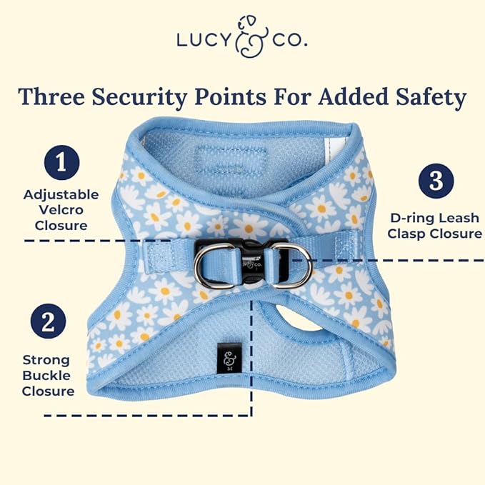 Lucy & Co. Simply Splendid Step-in Cat Harness & Leash Bundle – Reflective, Breathable & Adjustable Harness for Cats, Kittens & Small Dogs, Lightweight & Secure and Dual Leash Clips – X-Small
