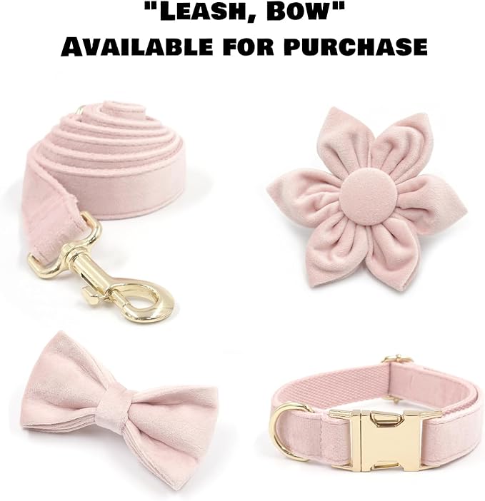 Velvet Personalized Dog Collar with Name - Customizable Dog Collar with Quick Release Metal Buckle - Leash and Bow Tie Available (Rosewater, XL)